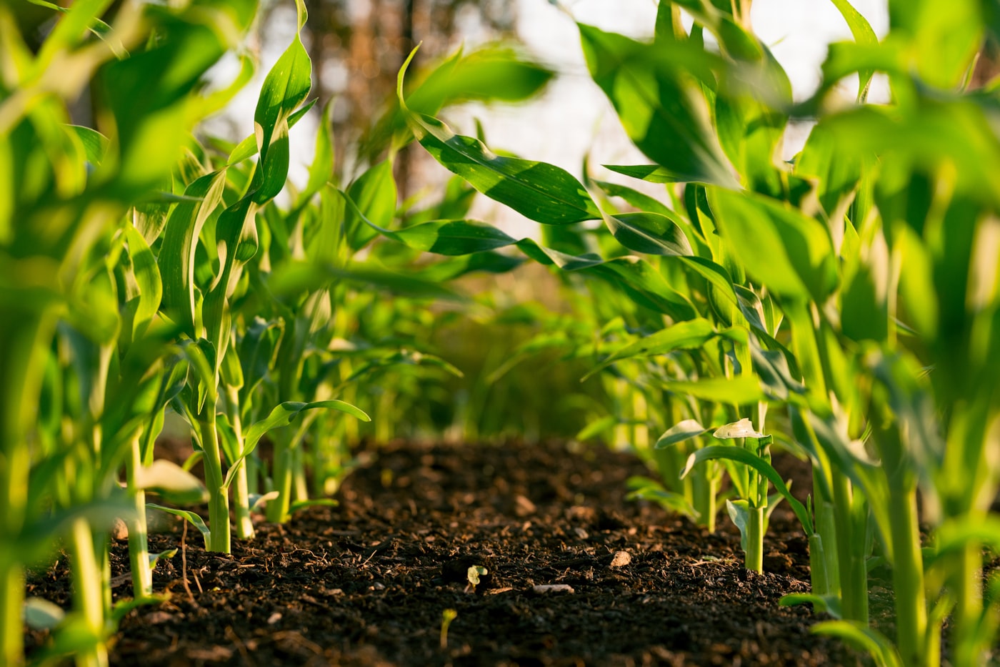 Agricultural and tractor equipment manufacturing